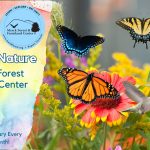 Promotional Image for Merck Forest & Farmland Center's Second Saturday program at the Library for June 2025, kicking off the Summer Reading Programming centered on the theme, "Color Our World". Depicts three species of butterflies and one hummingbird on the right side of the graphic against a summer garden backdrop, with the Manchester Community Library Summer Reading Program 2025 and the Merck Forest and Farmland Center logos with the event information on the left.