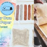 Promotional image for the second Saturdays with Merck Forest and Farmland Center at the Library for July 2025, making paper and watercolors. Images depict homemade paper in the process of being made, and watercolors. Includes the Manchester community Library Summer Reading Program 2025 logo for the theme "Color Our World" and Merck Forest and Farmland Center's logo with the event information beneath it, against a colorful watercolor backdrop.